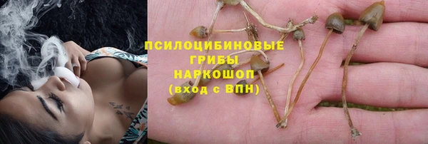 MESCALINE Алзамай