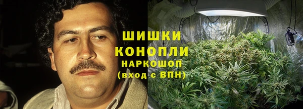 винт Алексин